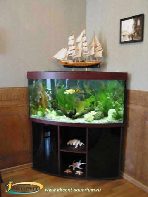Акцент-аквариум,аквариум 2040 литров угловой с гнутым передним стеклом